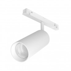 Maytoni ტექნიკური ფოკუსის LED შუქნიშანი TR032-2-20W4K-S-W