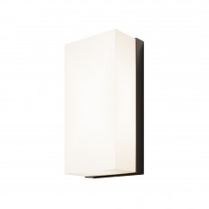 Настенный светильник (бра) Outdoor O454WL-L10GF3K