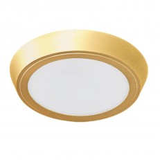Lightstar 216934