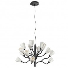 Подвесная люстра Odeon Light 5090/15