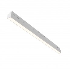 ტექნიკური TR030-4-24WTW-DSZ-W TRACK ნათურა