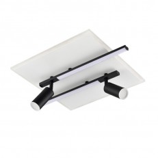 ზედაპირზე დამონტაჟებული ნათურა LUMION 8256/40CL
