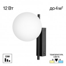 კედლის ნათურა Citilux CL223312