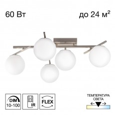 Накладная люстра Citilux CL223151