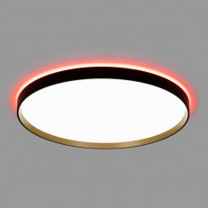 Накладной светильник Citilux CL750501R