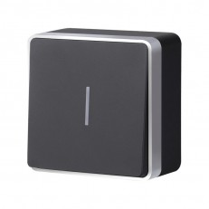 Выключатель Werkel W5010134 черный с серебром