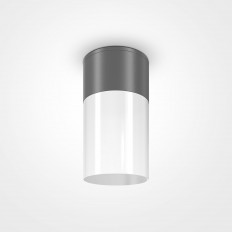 გარე ჭერის ნათურა Outdoor O418CL-01GR