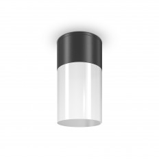 გარე ჭერის ნათურა Outdoor O418CL-01B