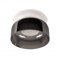ზედაპირზე დამონტაჟებული ნათურა LOFT IT 10466 Smoke